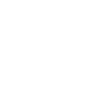 Womanizer DW